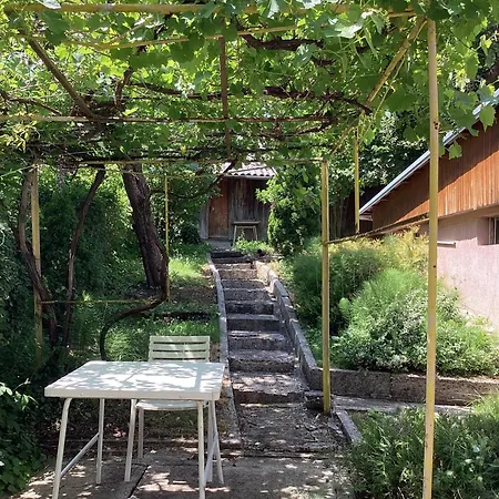 Apartmán Kod Dace *